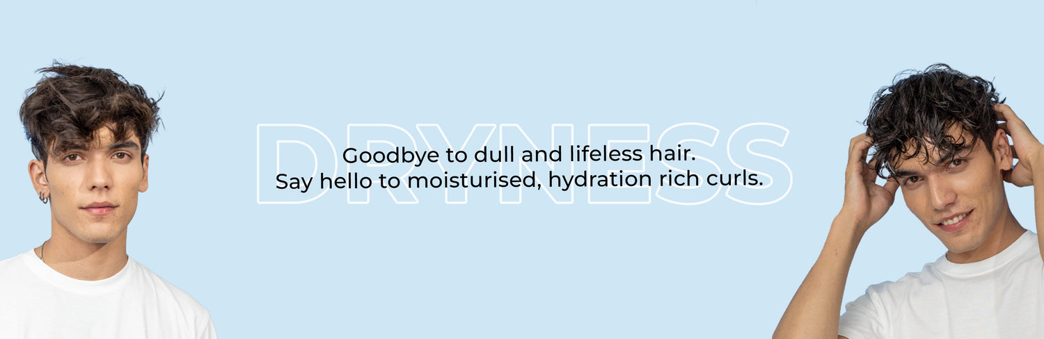 best products for dry hair care routine
