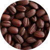 Jojoba Seeds